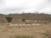 Land-for-sale-in-Monte-Cristi-
